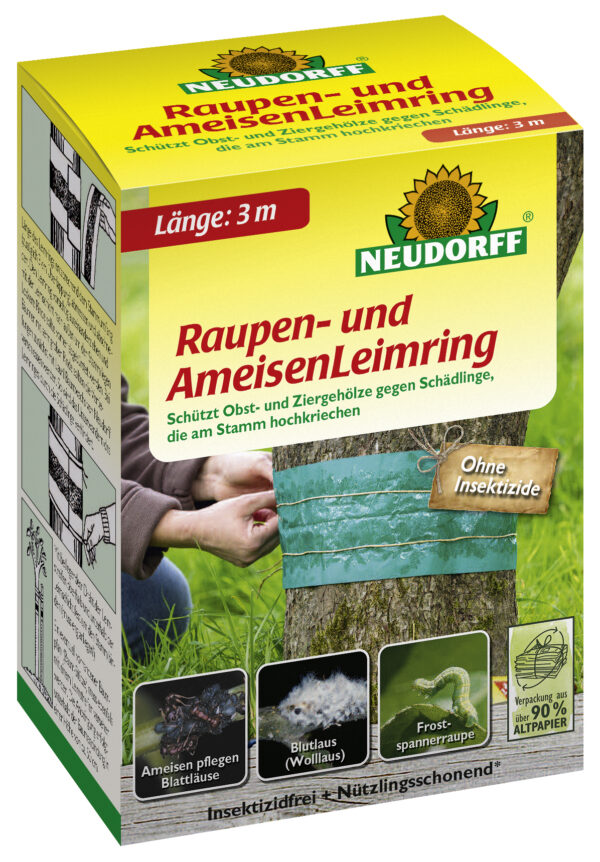 1109590 raupen und ameisenleimring