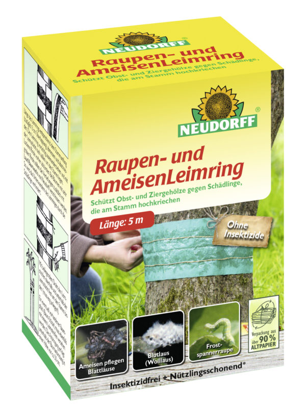 1109591 raupen und ameisenleimring