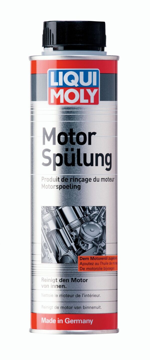 1598972 motor spuelung