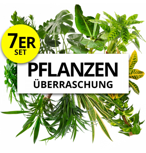 7er Pflanzenuberrasdchungsset