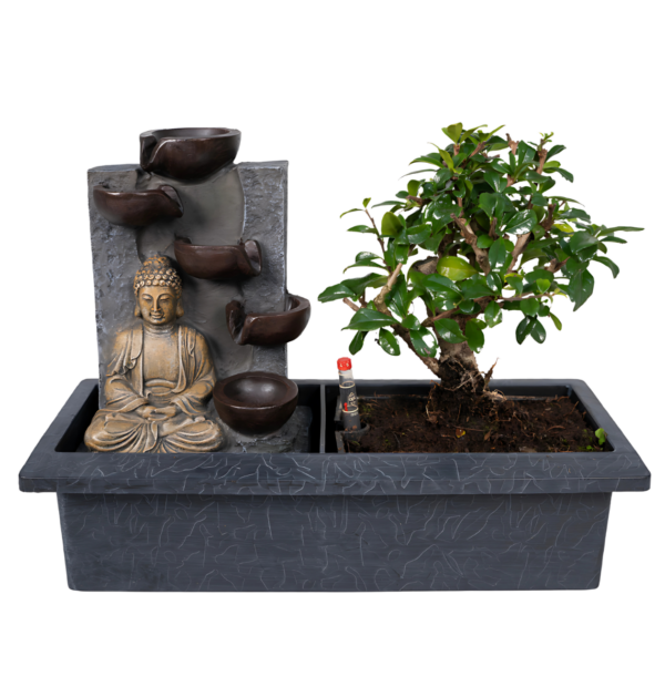 Bonsai-Baum “Meditation” | Bonsai mit Buddha & Wasserfall | +/- 30cm | ø 15cm Topf