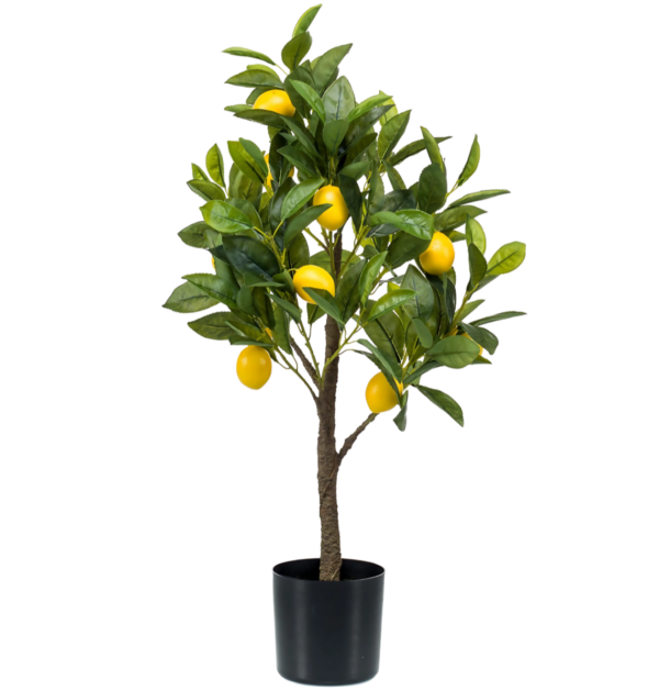 Künstliche Citrus Limonia | Zitrusbaum | +/- 75cm | ø 12cm Topf